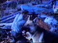 videos de Conway Logging 2