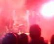 Nifters Live