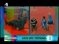 tv tiglon
