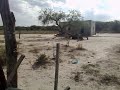 RSG llegada a 295