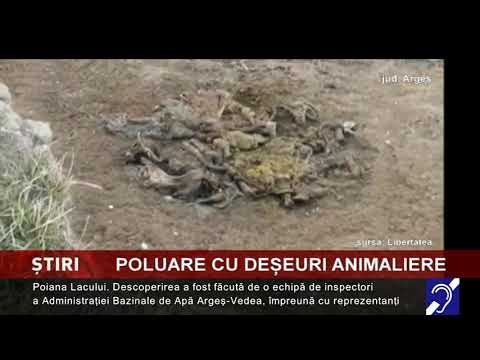 Resturi de animale, în râu