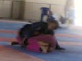 Campeonato estadual 2008