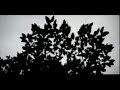 CLARA HILL  silent distance  /  official video