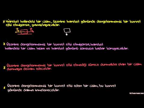 FİZİK - DENGE