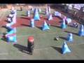 SkyCam! Ollie Lang Ironmen vs. Dynasty Paintball NPPL HB '08 (Finals)