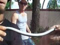 Dan-o with a black racer