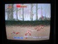 MAME / Arcade emulation via the GP2X's TV-out