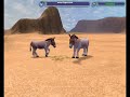 Kiang Video - TheSteenbok