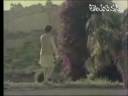 Sirivennela - Adi Bhikshuvu.flv