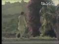 Sirivennela - Adi Bhikshuvu.flv
