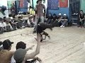 casablanca fi l3alame