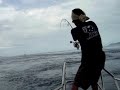 GT FISHING in KOMODO (complete edition)