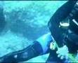 SCUBA Dive With ATC-2000 Action camera