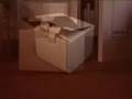 The Box