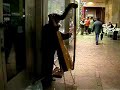 Peruvian harpist in Mlian