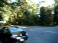 117 Palmetto Point
