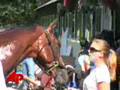 Hoof Healed, Big Brown Ready to Run