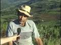 Seguro Agrícola