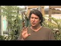 Regeneration_John Todd Regeneration_John Todd