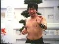 Hung Gar Kung Fu Hung Gar Kung Fu