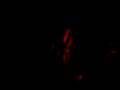 Scald's - Lithium - Live In Audio Station
