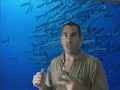 Project blue: how to Bluescreen with Win moviemaker Project blue: how to Bluescreen with Win moviemaker