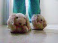 Dan�a da Pantufa!