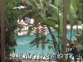 アラム・クルクル （バリ島）　～　ALAM KUL KUL Boutique Resort - Legian, Bali