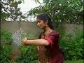 Madras Travel Doc  Part 07