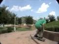 new montage