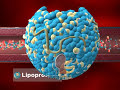 Cholesterol