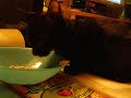 lola eten.MOV