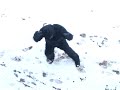 CHILLING BIGFOOT VIDEO