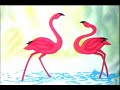 CARMEN MIRANDA - BRAZIL