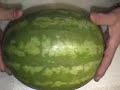 fruit carving hobby watermelon part 1