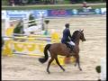 Grand Prix Horse 8 year old