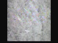 Click here to watch this video May 17 Multicopter search.wmv