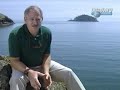 Mega Tsunami - Wave of Destruction (2 of 5)