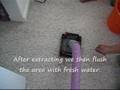 Removing Urine From Carpet & Padding
