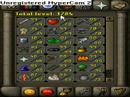 Playfaironrs- My Stats and skillcapes