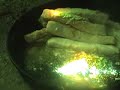 FRESNEL LENS 2 SUN COLLECTOR