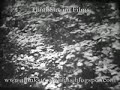 Gravity (Highlights) - 1940s