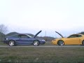 2 sweet mustang gt\
