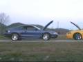 2 sweet mustang gt's
