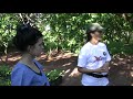 Explicación de Gloria Clemencia, responsable de los viveros del Proyecto Pijiwi