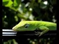 vivir en una ecoaldea vivir en una ecoaldea