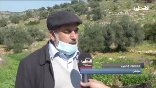 قلقيلية - الاحتلال يواصل ضخ المياه العادمة على أراضي المواطنين في قرية بيت أمين