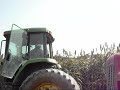 Cosecha de Sorgo/Sorghum Harvest Cosecha de Sorgo/Sorghum Harvest