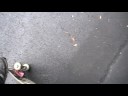 How to: do a railflip ( a primo flip thingy) How to: do a railflip ( a primo flip thingy)