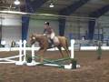 videos de Hillary Showjumping at SRPC